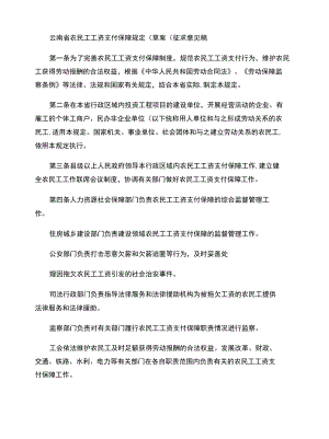 云南省农民工工资支付保障规定草案概要.docx