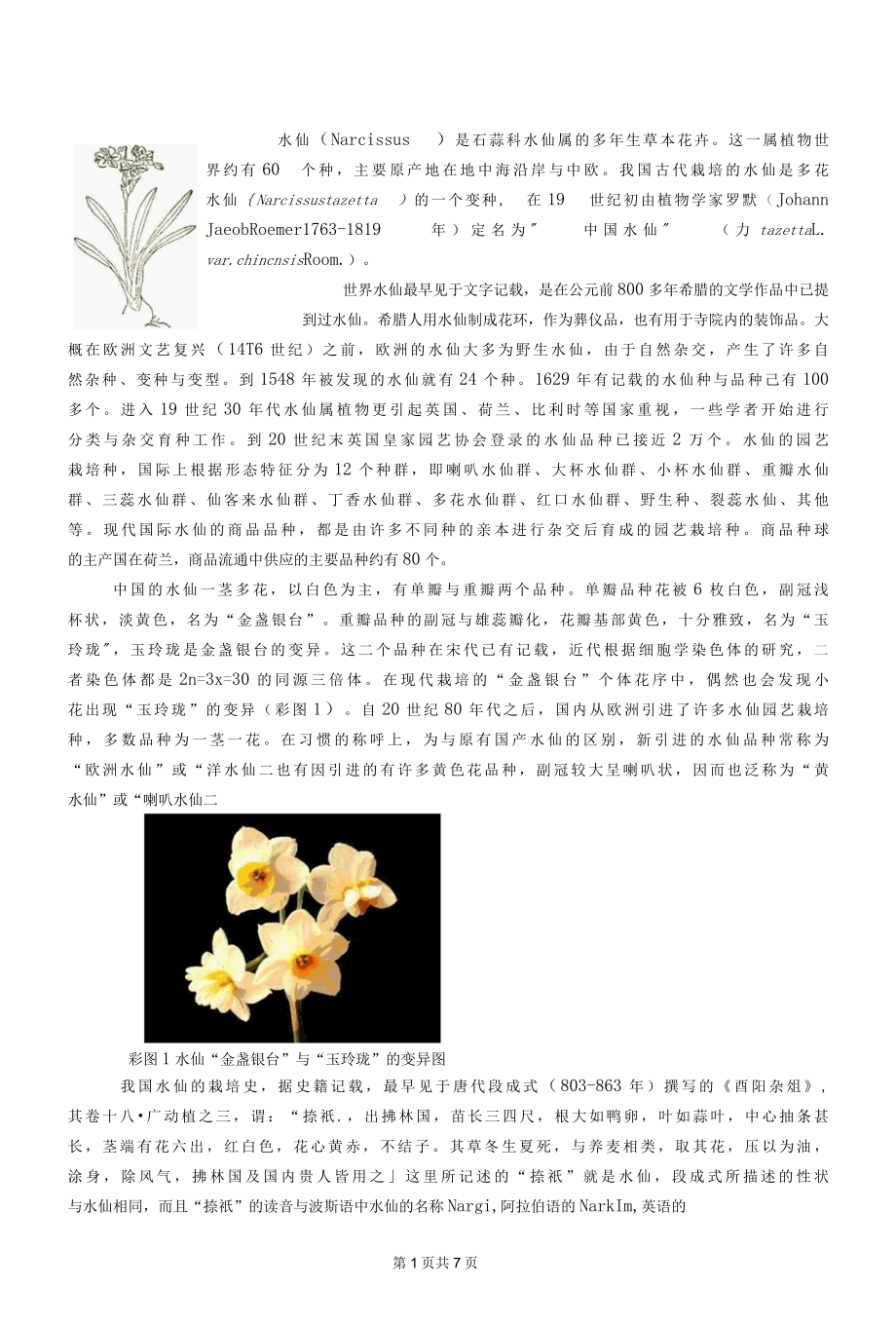 中国水仙史.docx_第1页