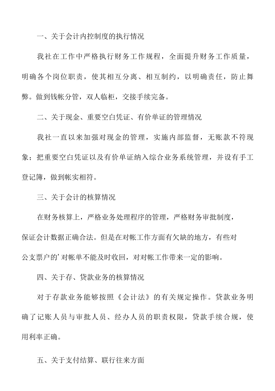 关于公司财务会计自查报告范文.docx_第3页