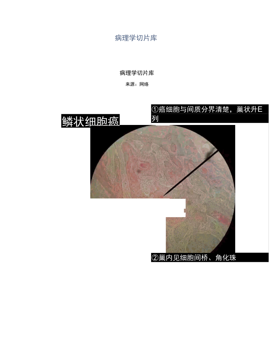 病理学切片库.docx_第1页