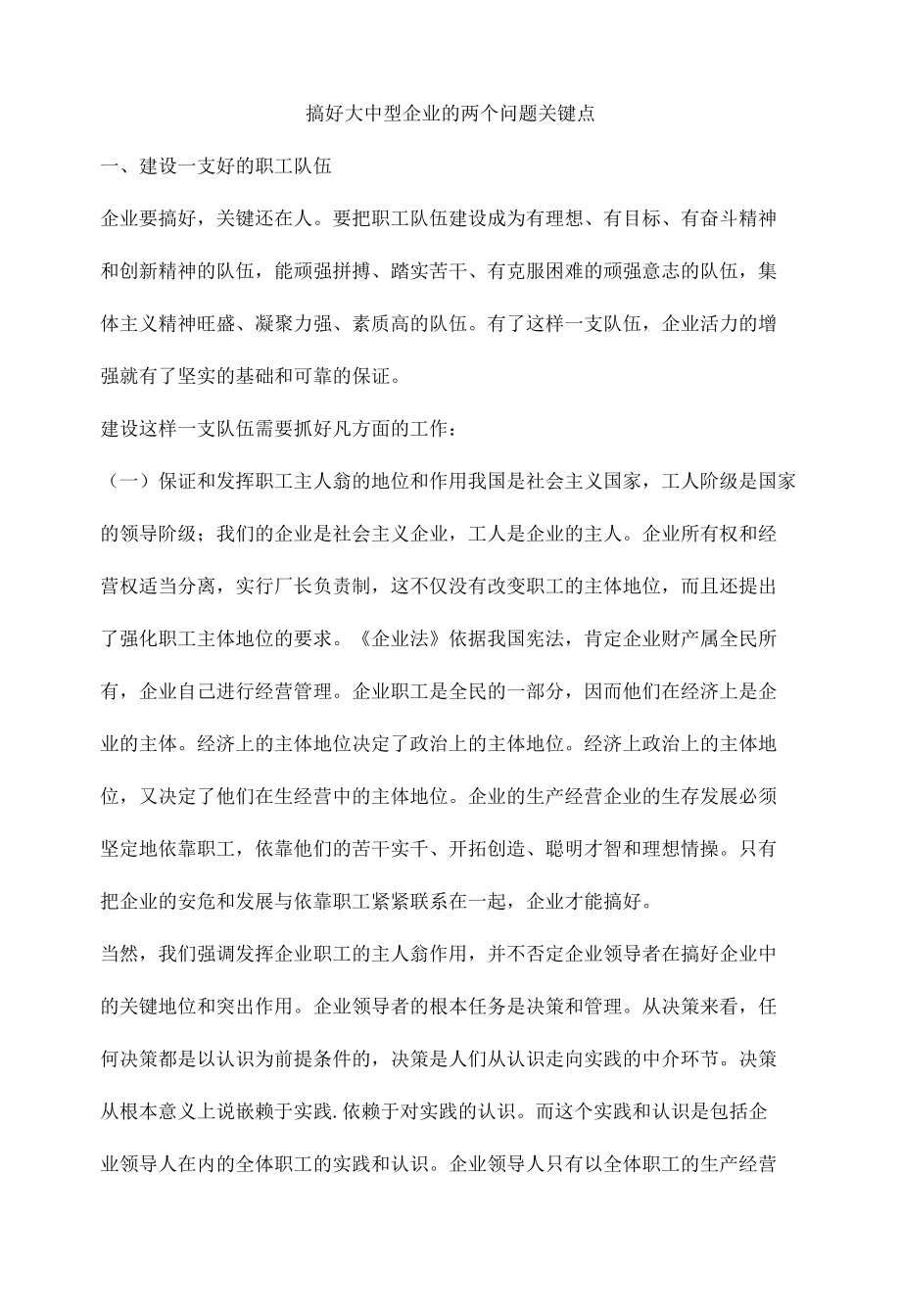 搞好大中型企业的两个问题关键点.docx_第1页