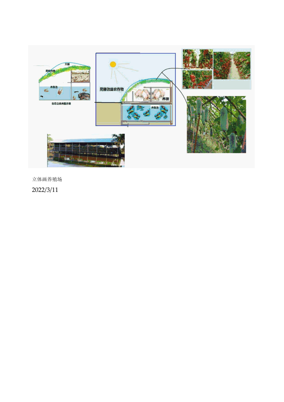 耕地 更大产出项目.docx_第3页