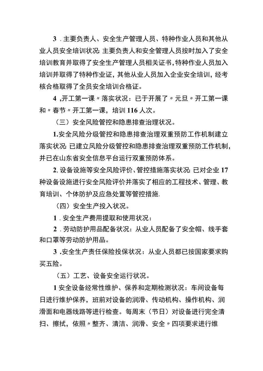 XX公司安全生产自我诊断报告4页.docx_第2页