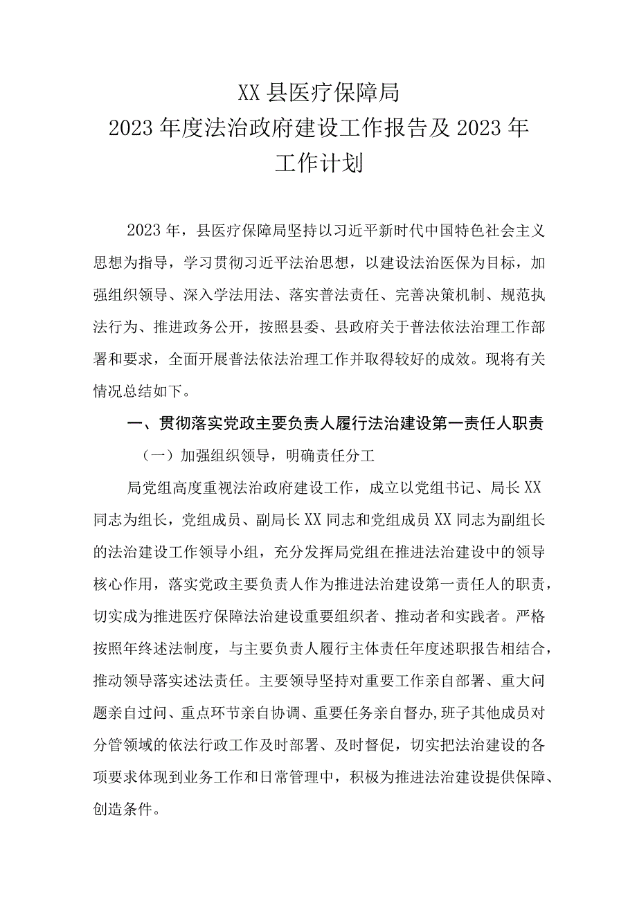 XX县医疗保障局2023年度法治政府建设工作报告及2023年工作计划.docx_第1页