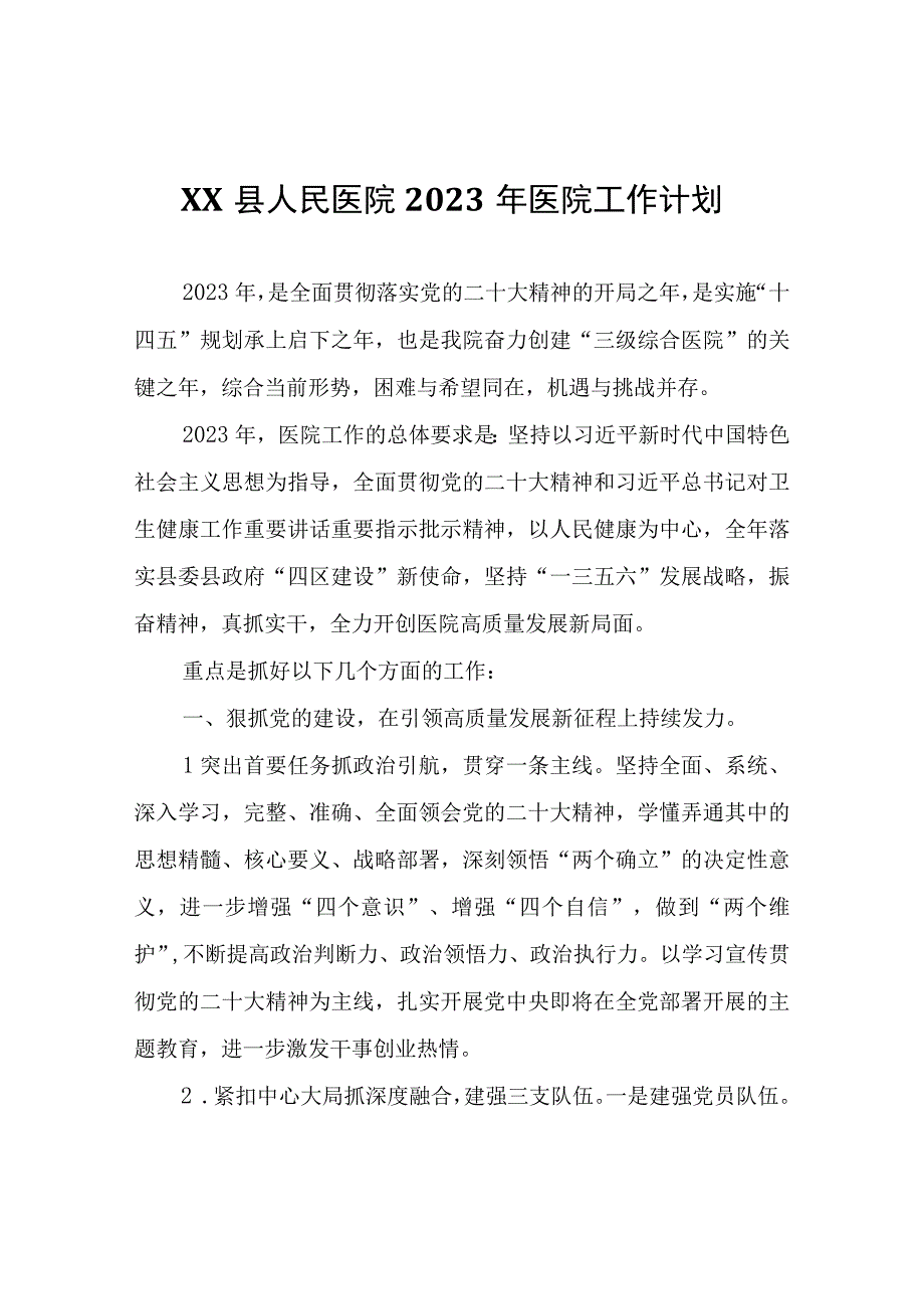 XX县人民医院2023年医院工作计划.docx_第1页