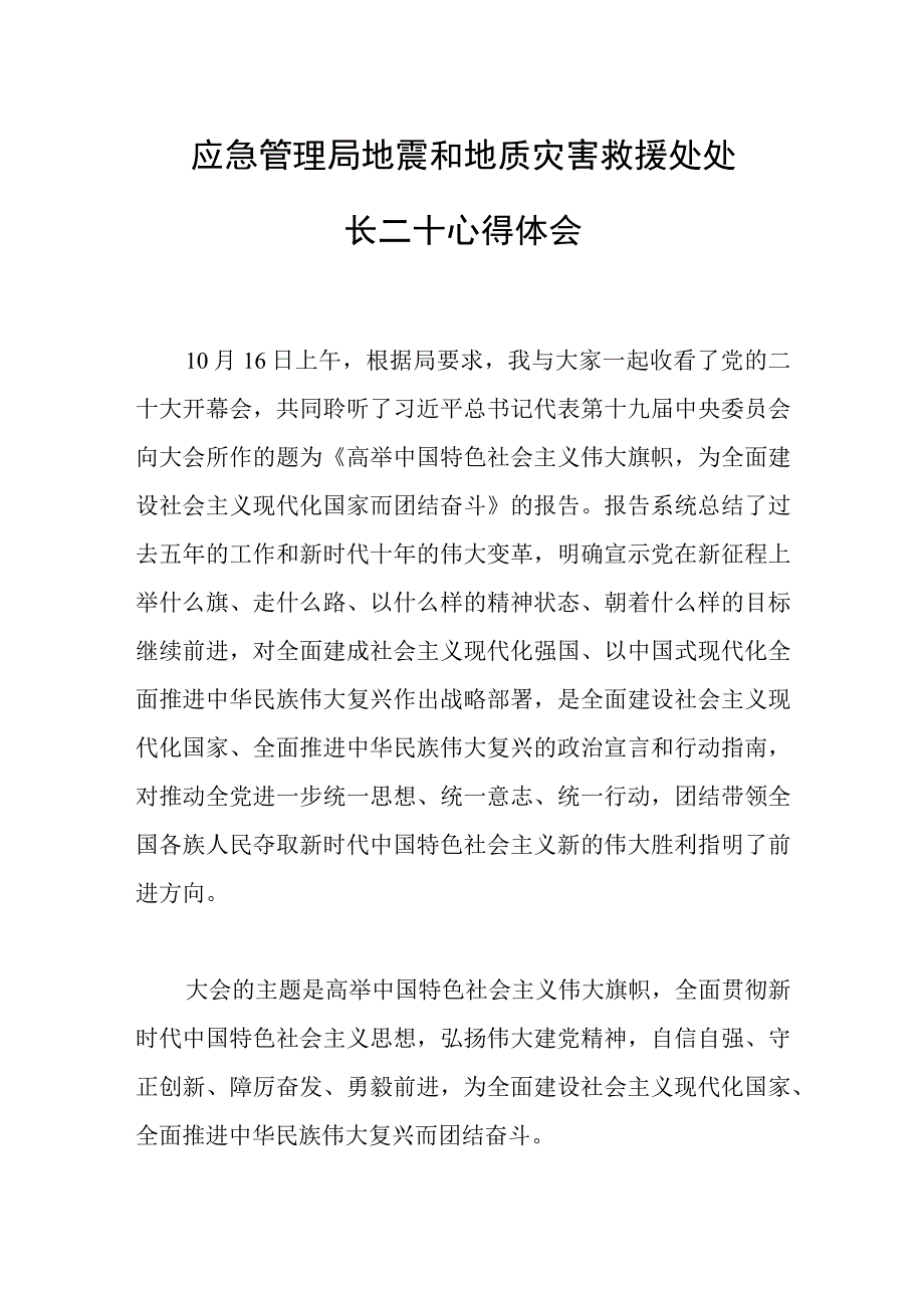 应急管理局地震和地质灾害救援处处长二十心得体会.docx_第1页