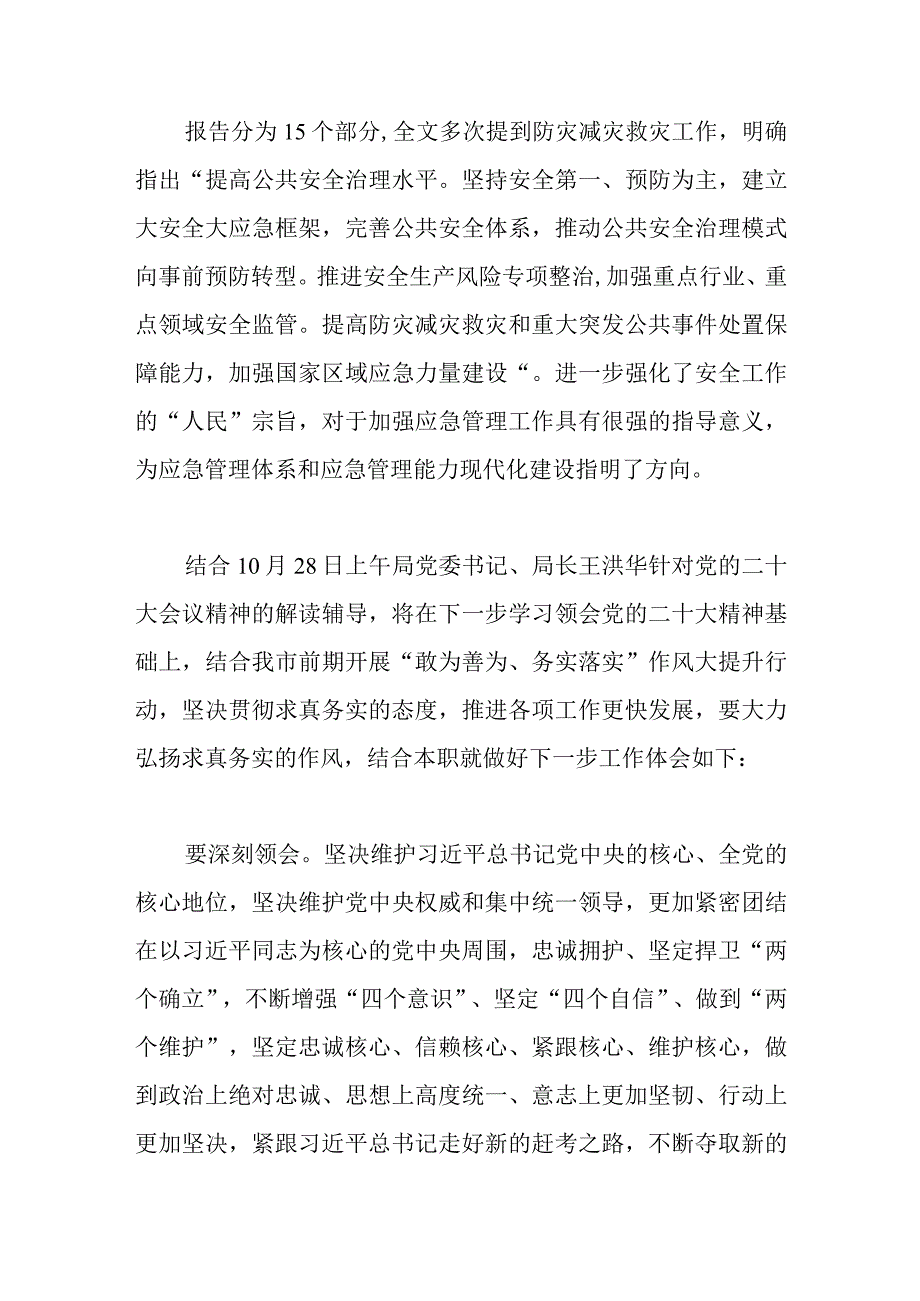 应急管理局地震和地质灾害救援处处长二十心得体会.docx_第2页