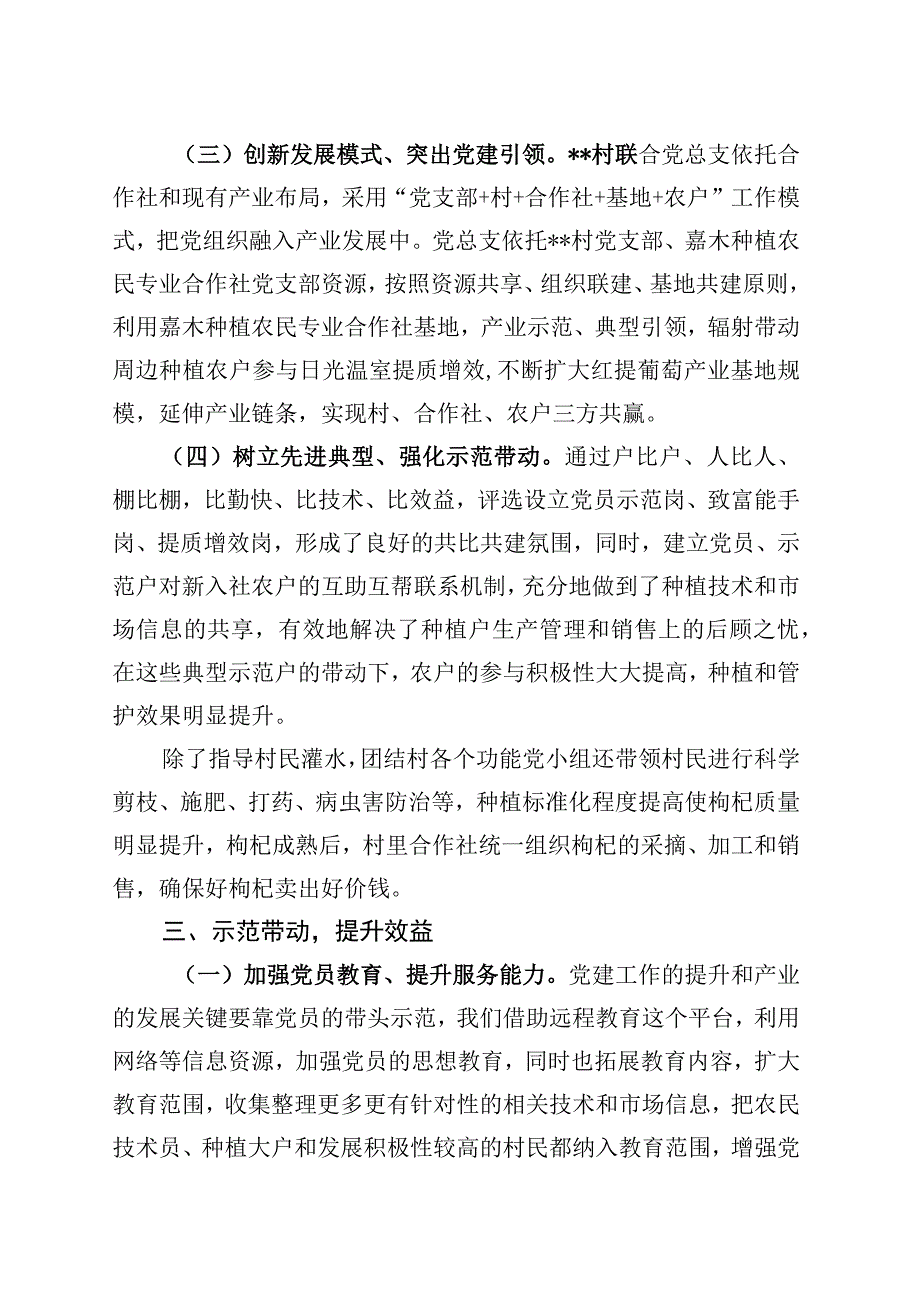 支部建在产业链上党建引领乡村振兴.docx_第3页