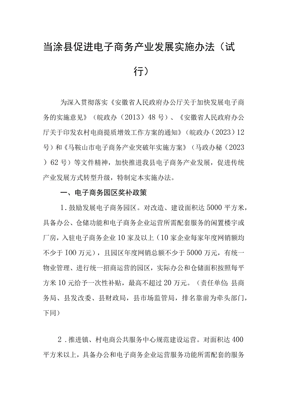 当涂县促进电子商务产业发展实施办法试行.docx_第1页