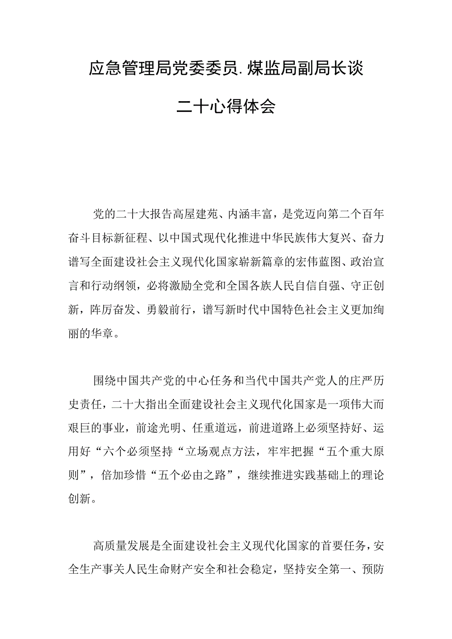 应急管理局党委委员煤监局副局长谈二十心得体会.docx_第1页