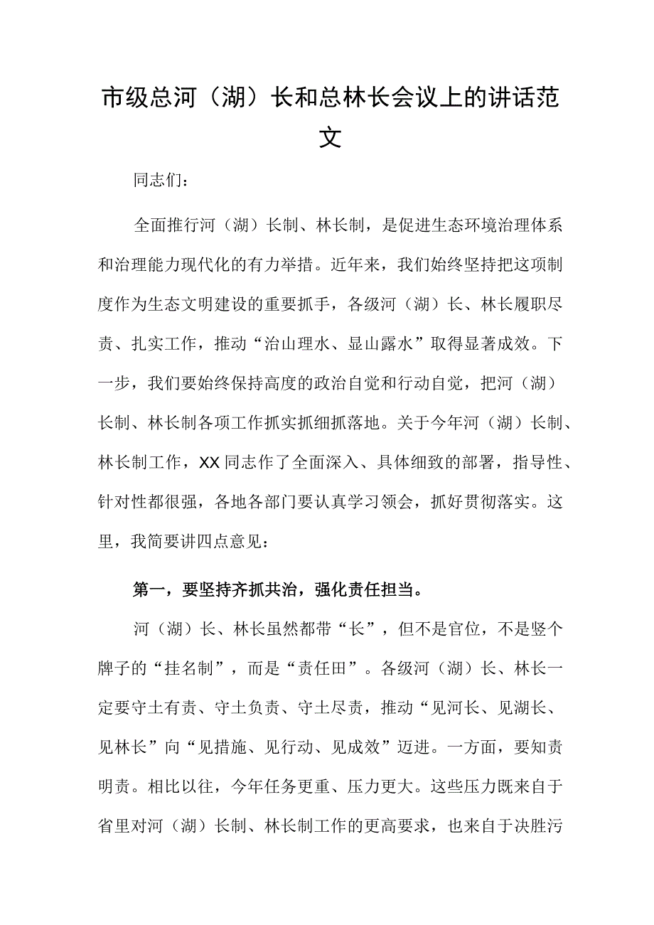 市级总河(湖)长和总林长会议上的讲话范文.docx_第1页