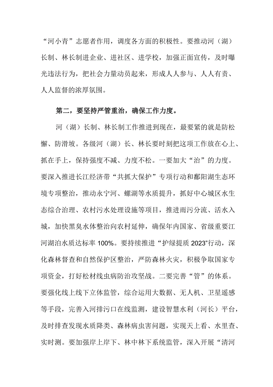 市级总河(湖)长和总林长会议上的讲话范文.docx_第3页