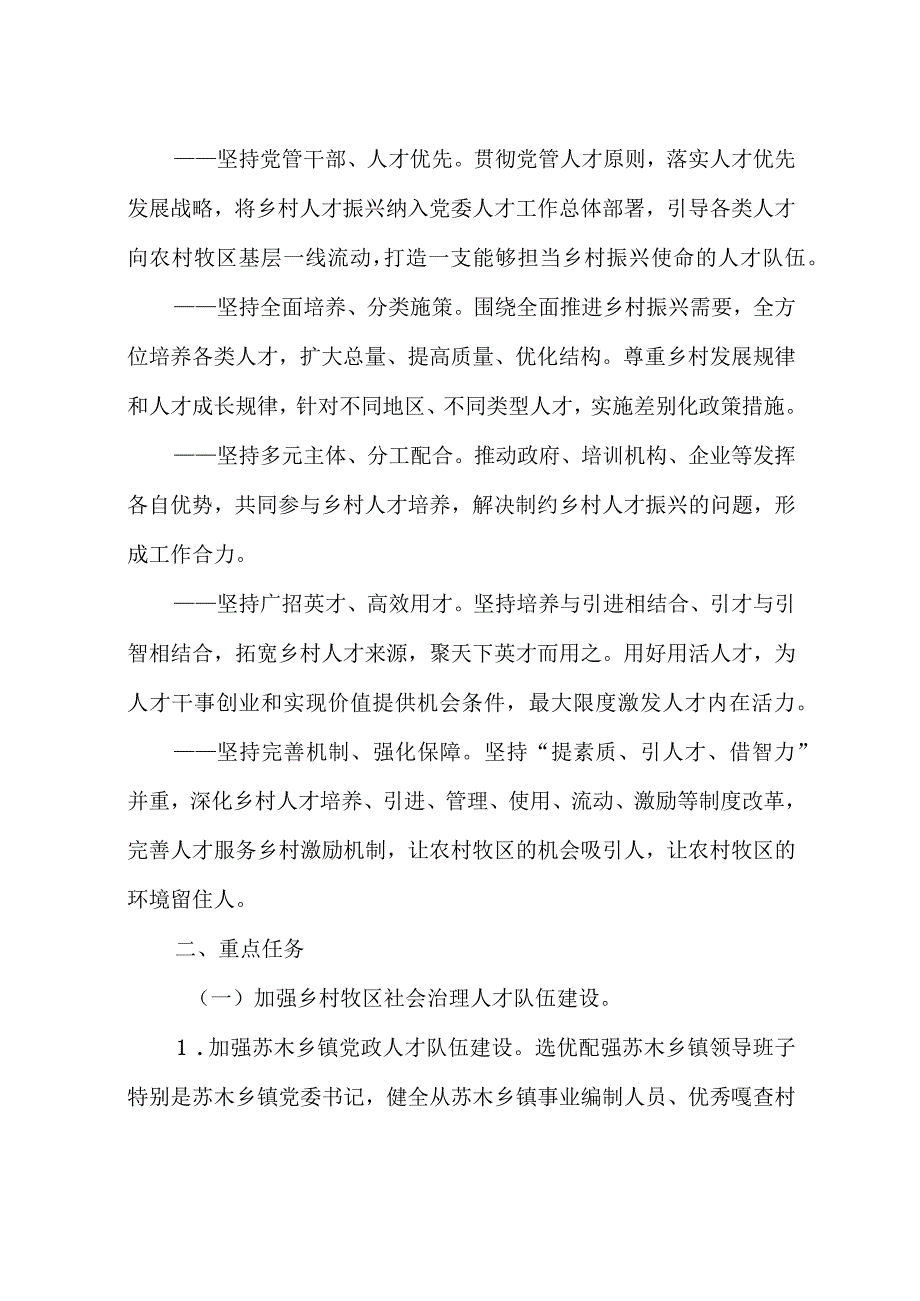 市县级人才振兴方案.docx_第2页