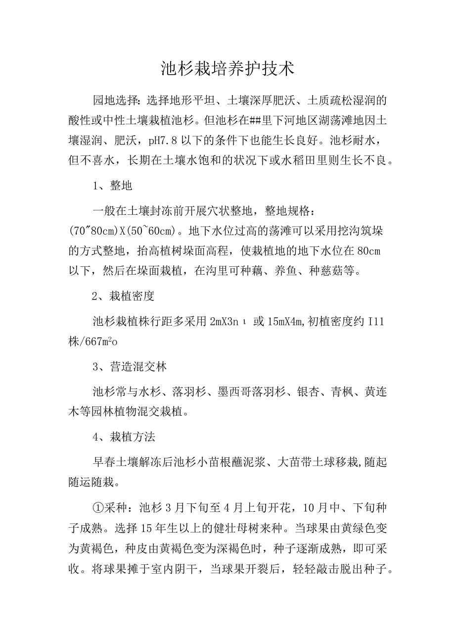 池杉栽培养护技术.docx_第1页