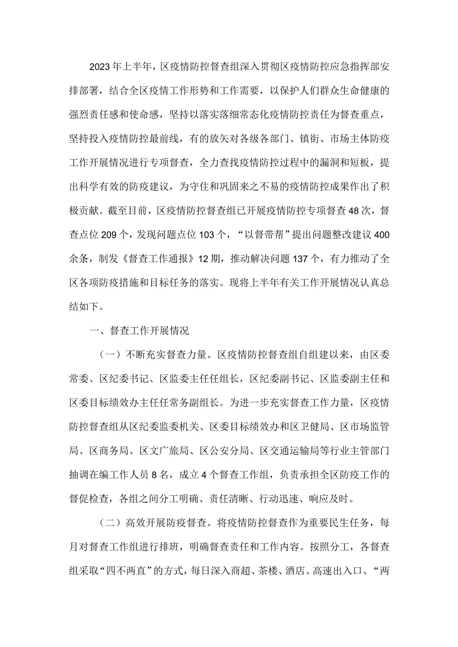 疫情防控督查组上半年工作总结.docx_第2页