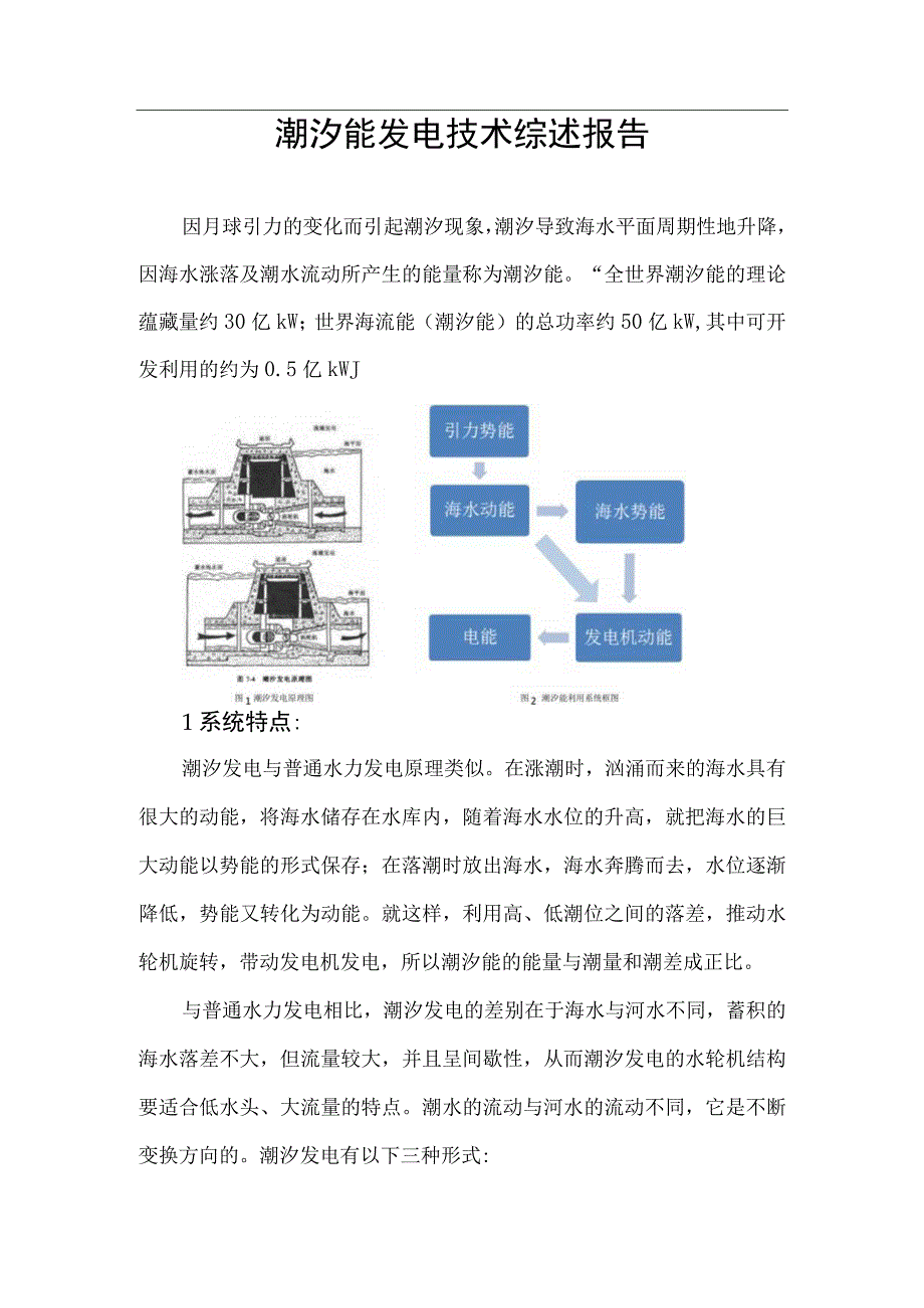 潮汐发电技术综述报告.docx_第1页