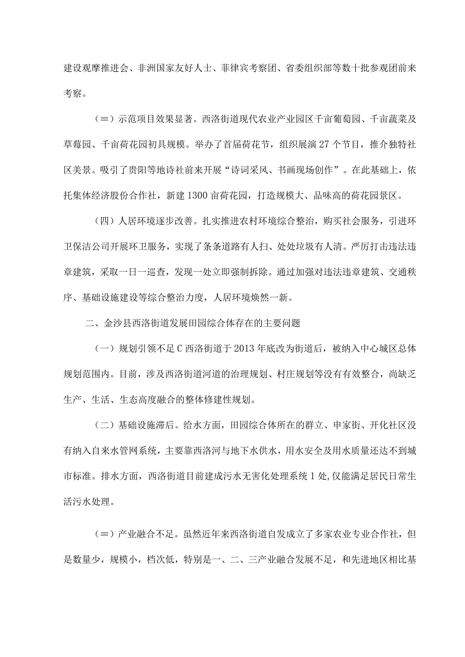 田园综合体调研报告范本.docx_第2页