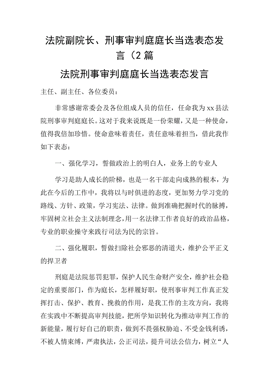 法院副院长刑事审判庭庭长当选表态发言2篇.docx_第1页