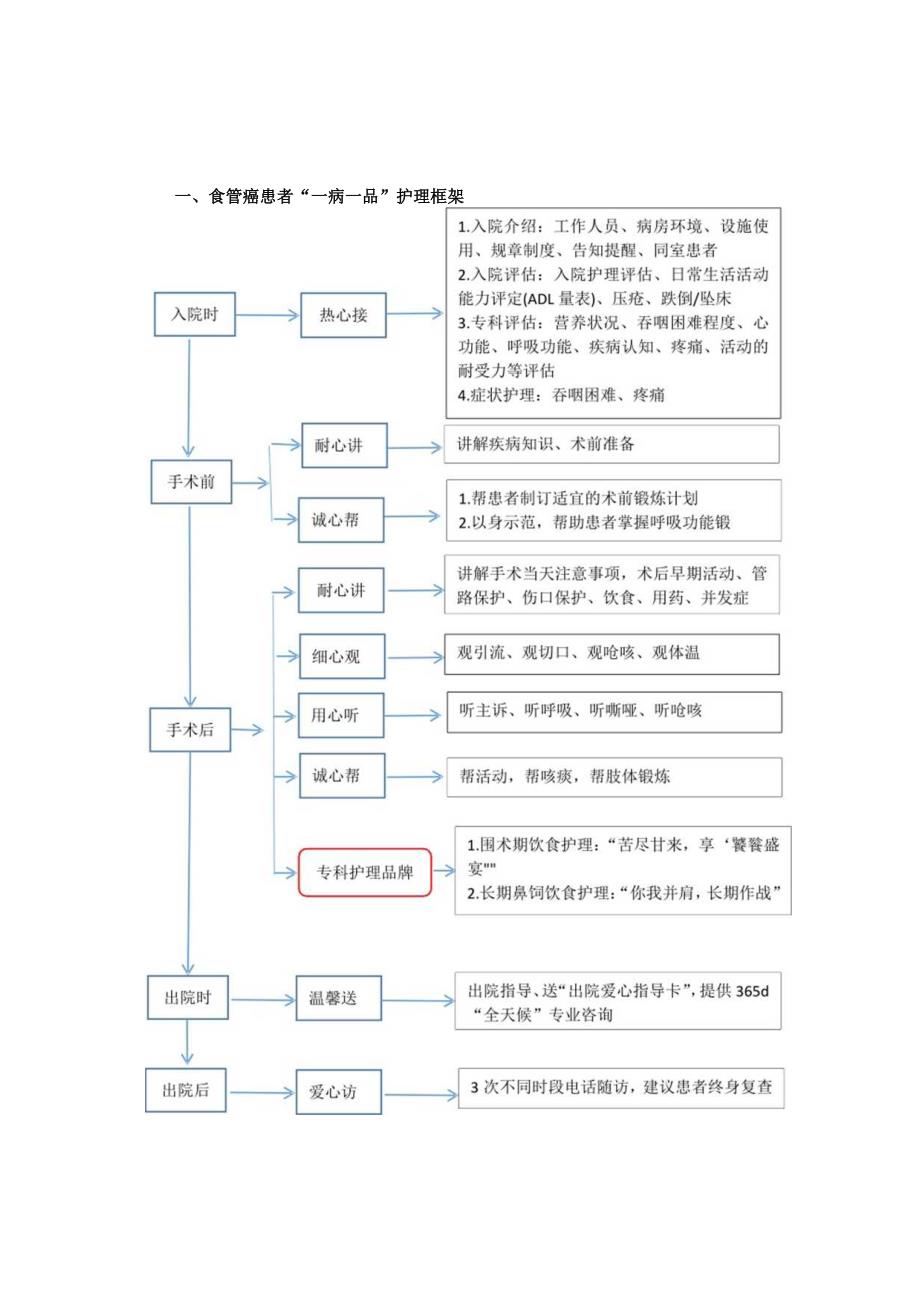 胸外科食管癌一病一品.docx_第1页