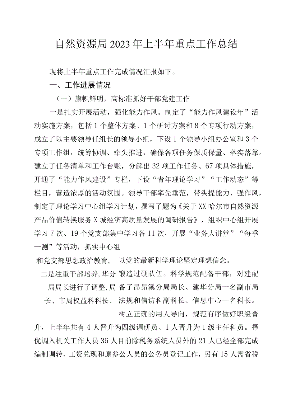 自然资源局2023年上半年重点工作总结.docx_第1页