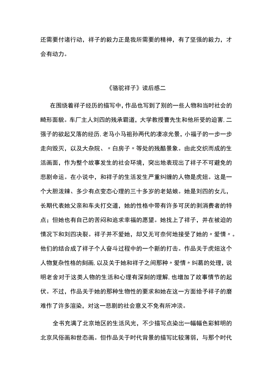 骆驼祥子读后感.docx_第3页