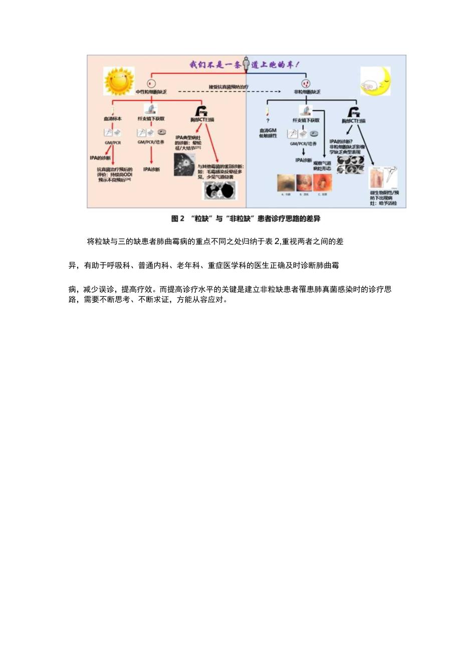 非粒缺患者侵袭性肺真菌病诊疗思路.docx_第3页