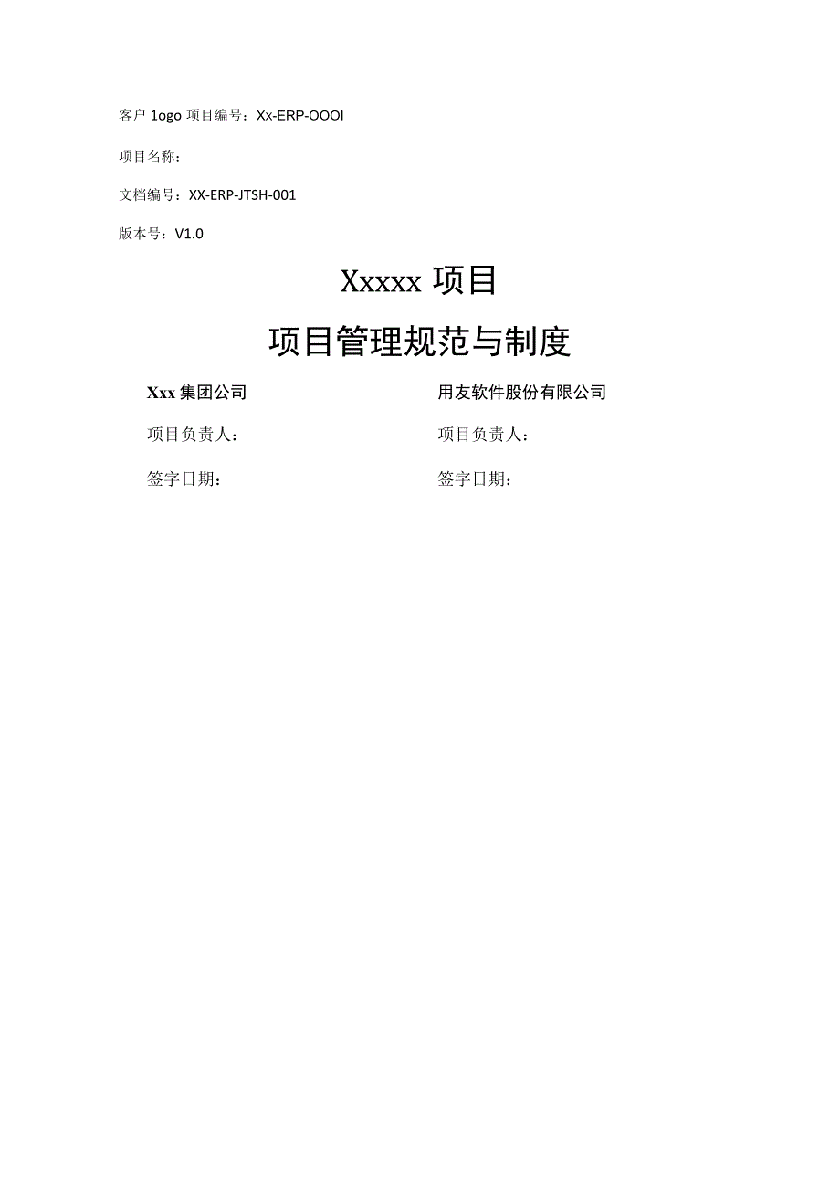 项目实施策略(1).docx_第1页