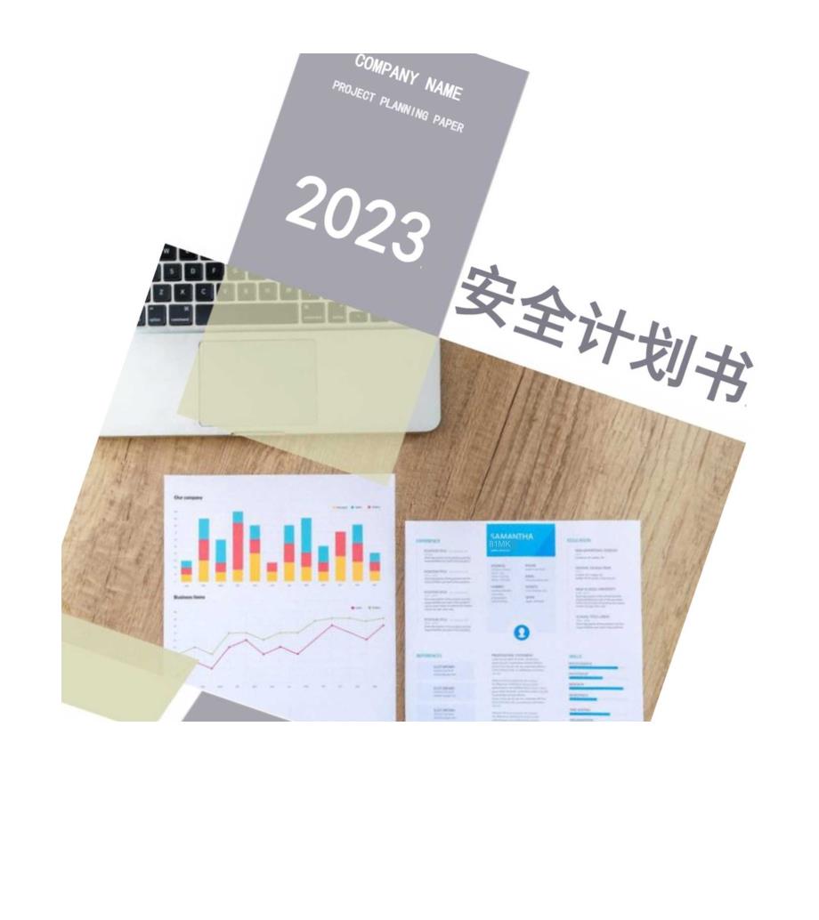 计划安全环保部2023年工作计划28页.docx_第1页