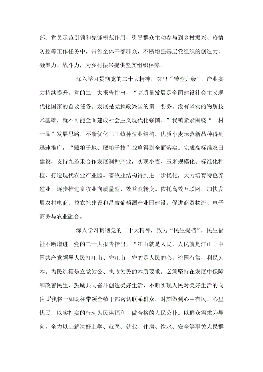 镇长学习宣传贯彻党的二十大精神心得体会研讨材料.docx_第2页