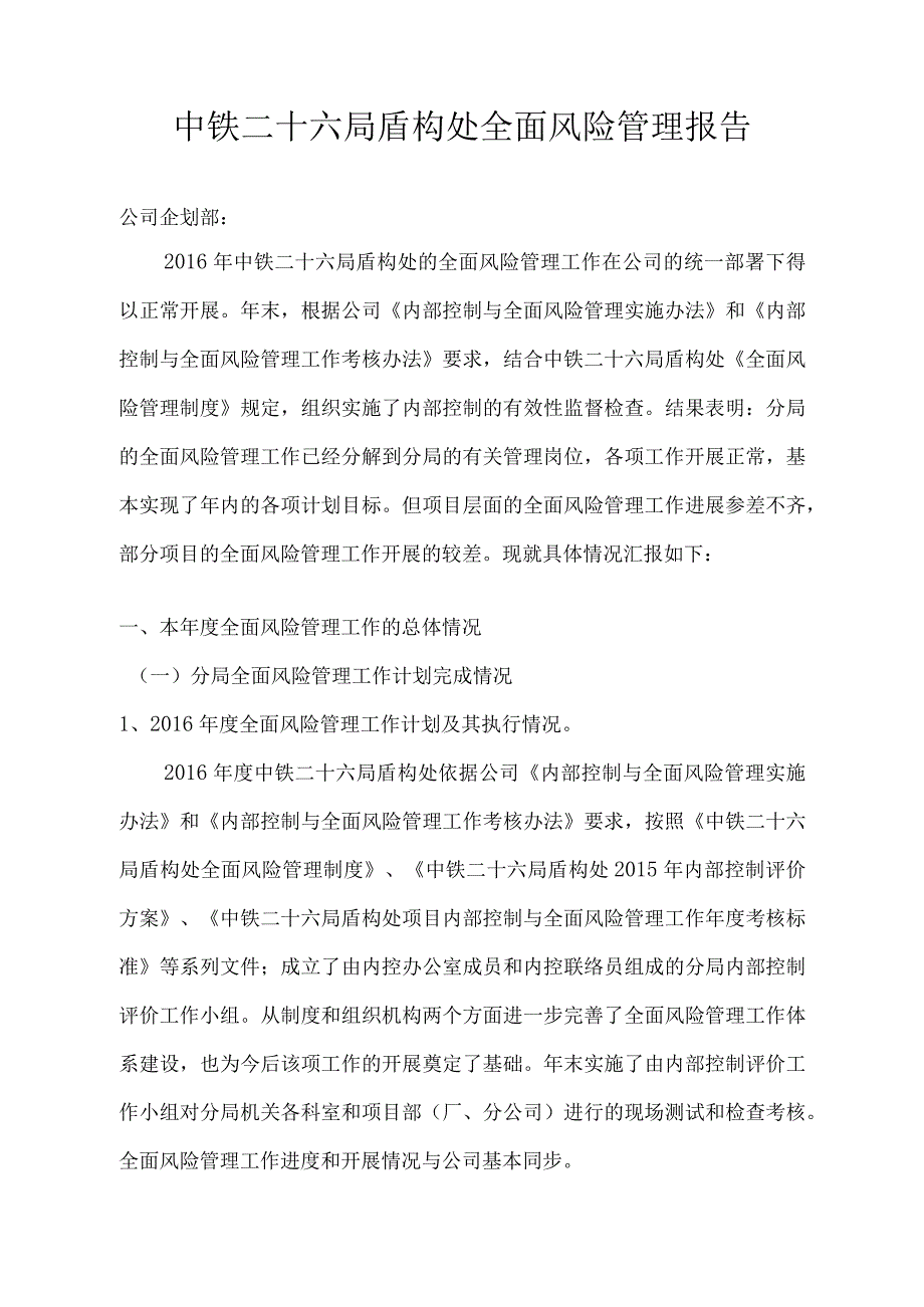 风险管理报告.docx_第1页