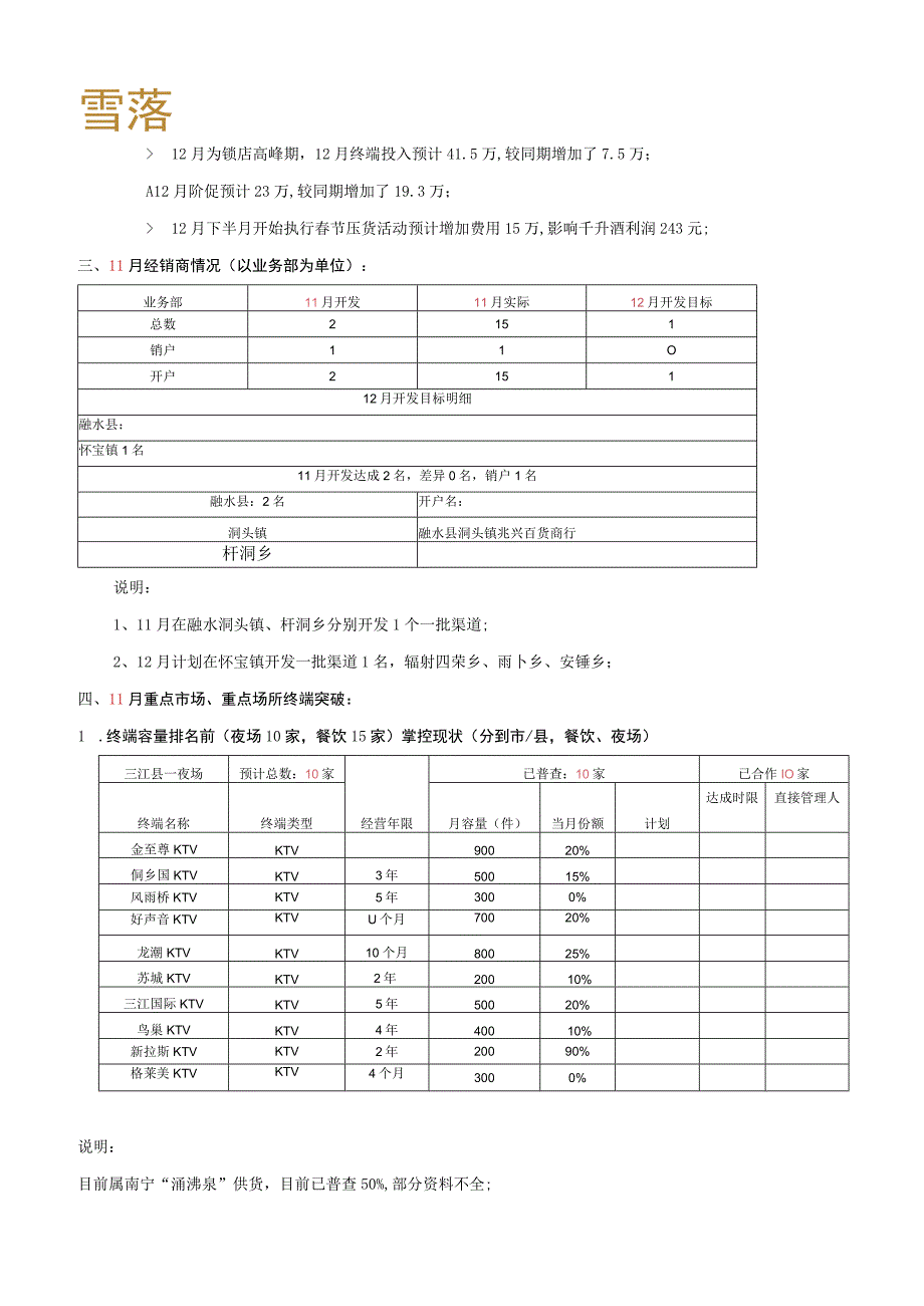 营销计划.docx_第2页