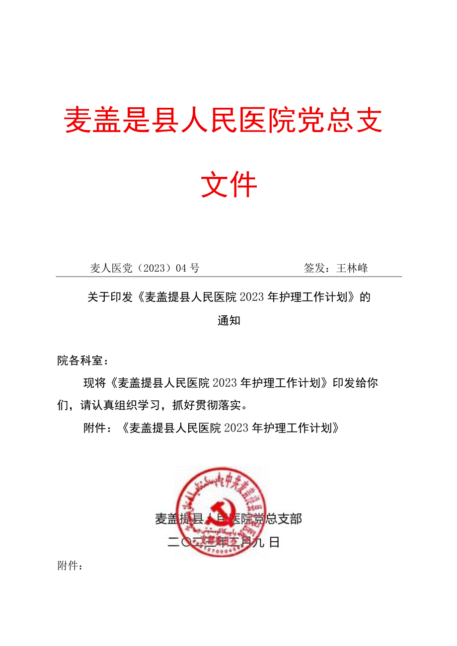 2023年护理工作计划.docx_第1页