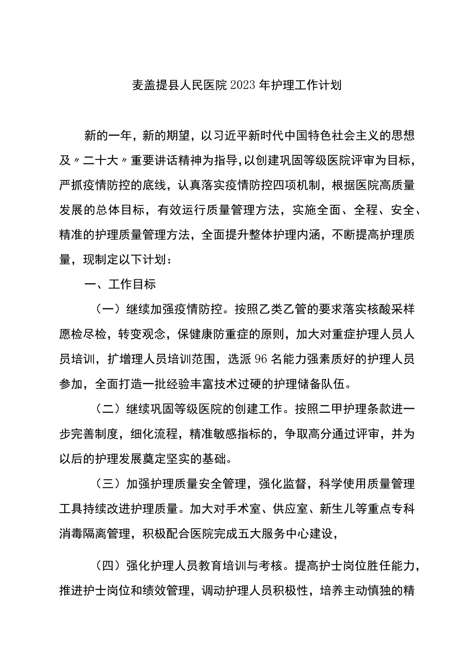 2023年护理工作计划.docx_第2页