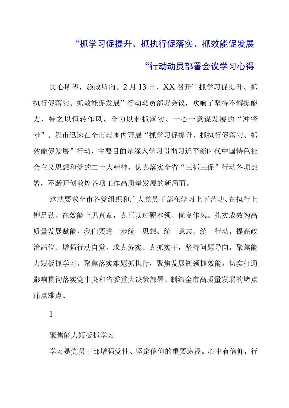 2023年抓学习促提升抓执行促落实抓效能促发展行动动员部署会议学习心得.docx_第1页