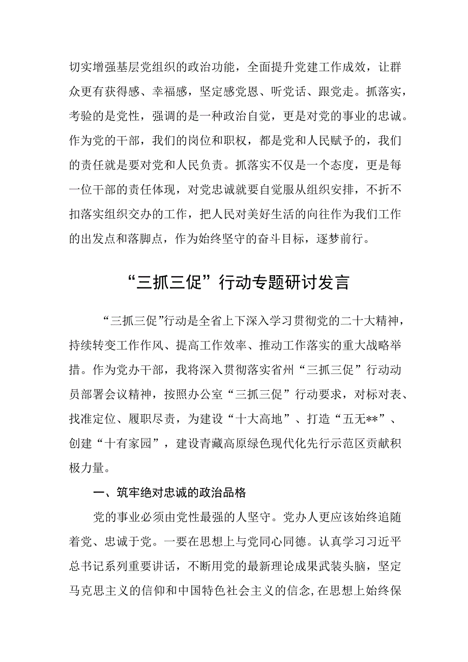 2023年三抓三促抓学习促提升抓执行促落实抓效能促发展行动专题研讨心得发言材料参考范文三篇.docx_第3页