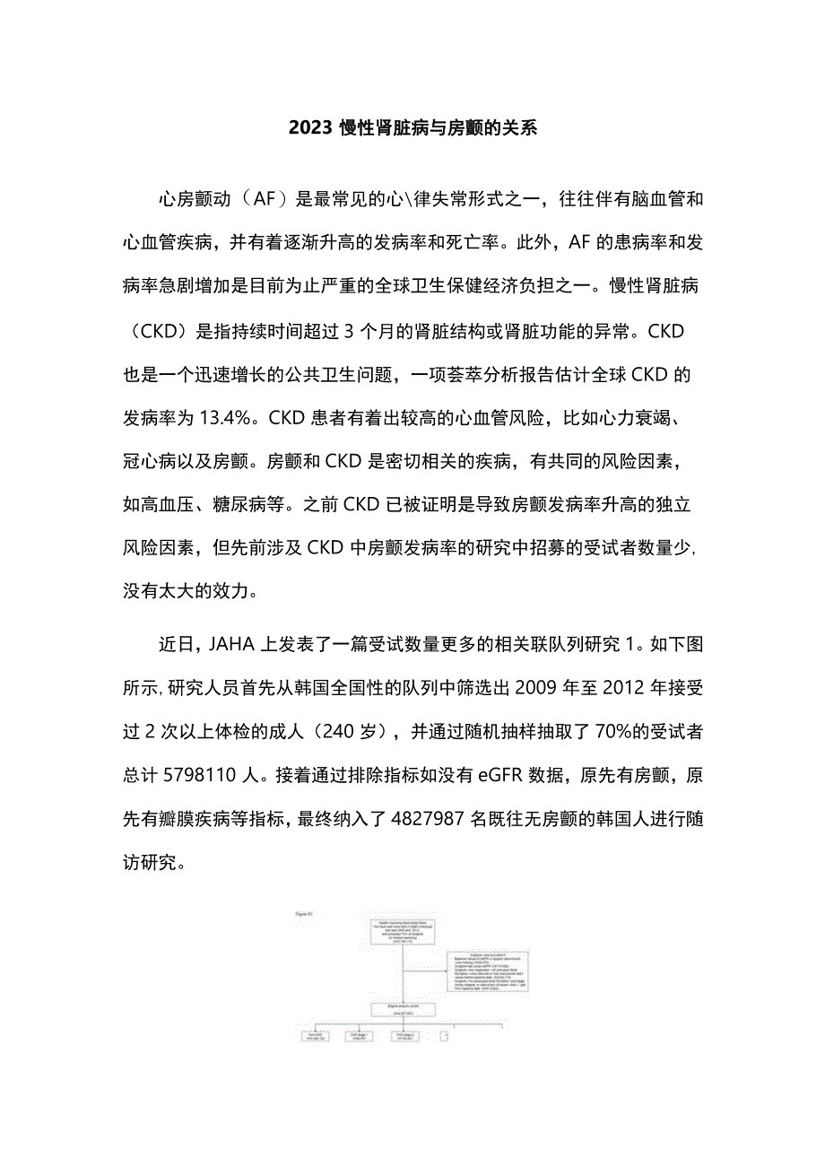 2023慢性肾脏病与房颤的关系.docx_第1页