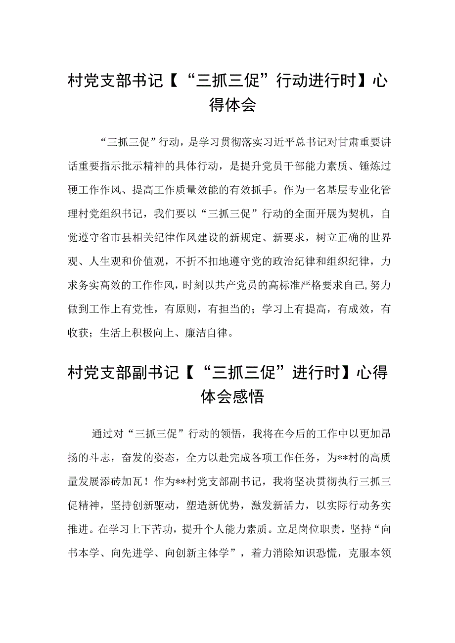 3篇村党支部书记三抓三促行动进行时心得体会范文.docx_第1页