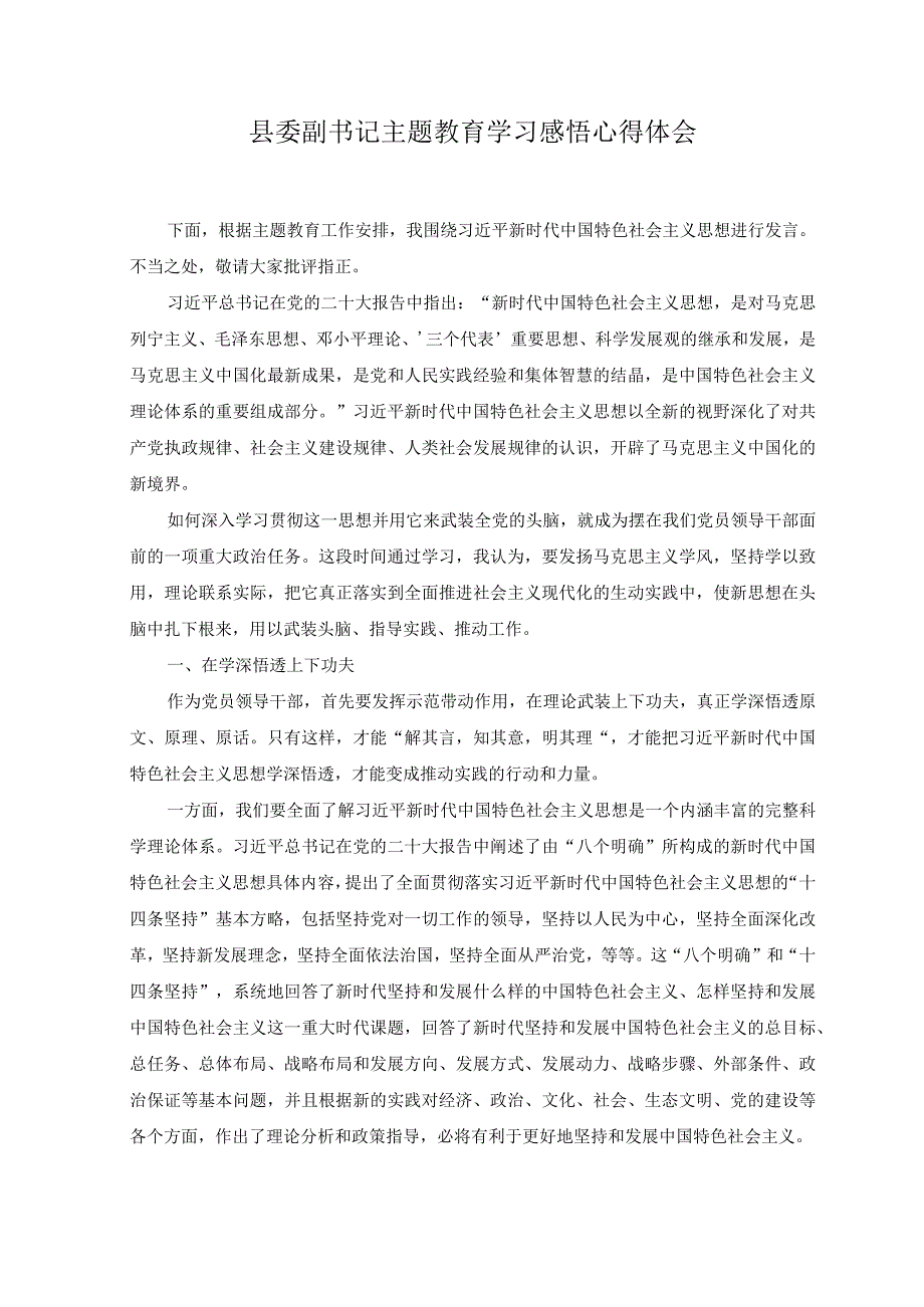 2篇2023年县委副书记党内主题教育学习感悟心得体会.docx_第1页