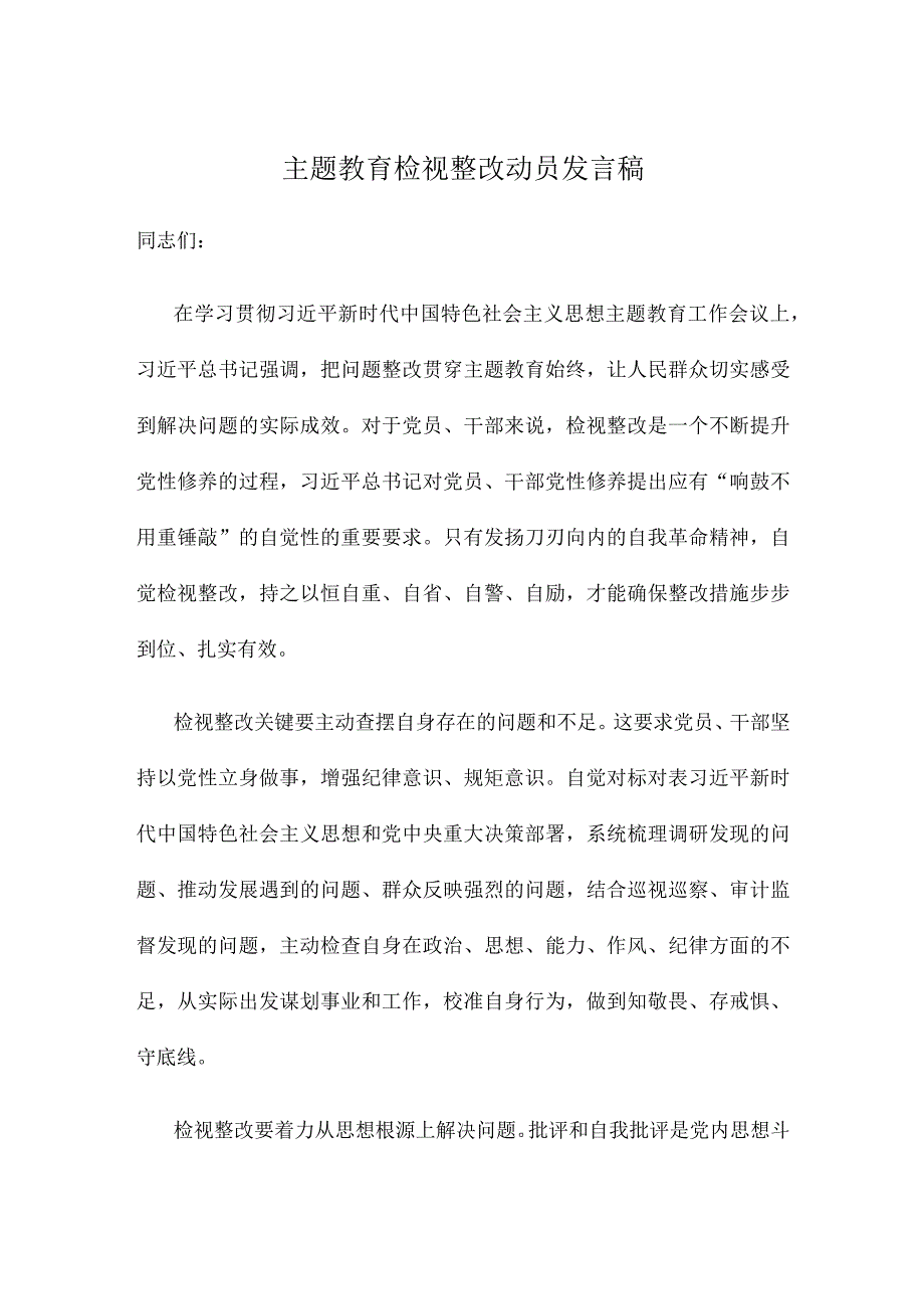 主题教育检视整改动员发言稿.docx_第1页