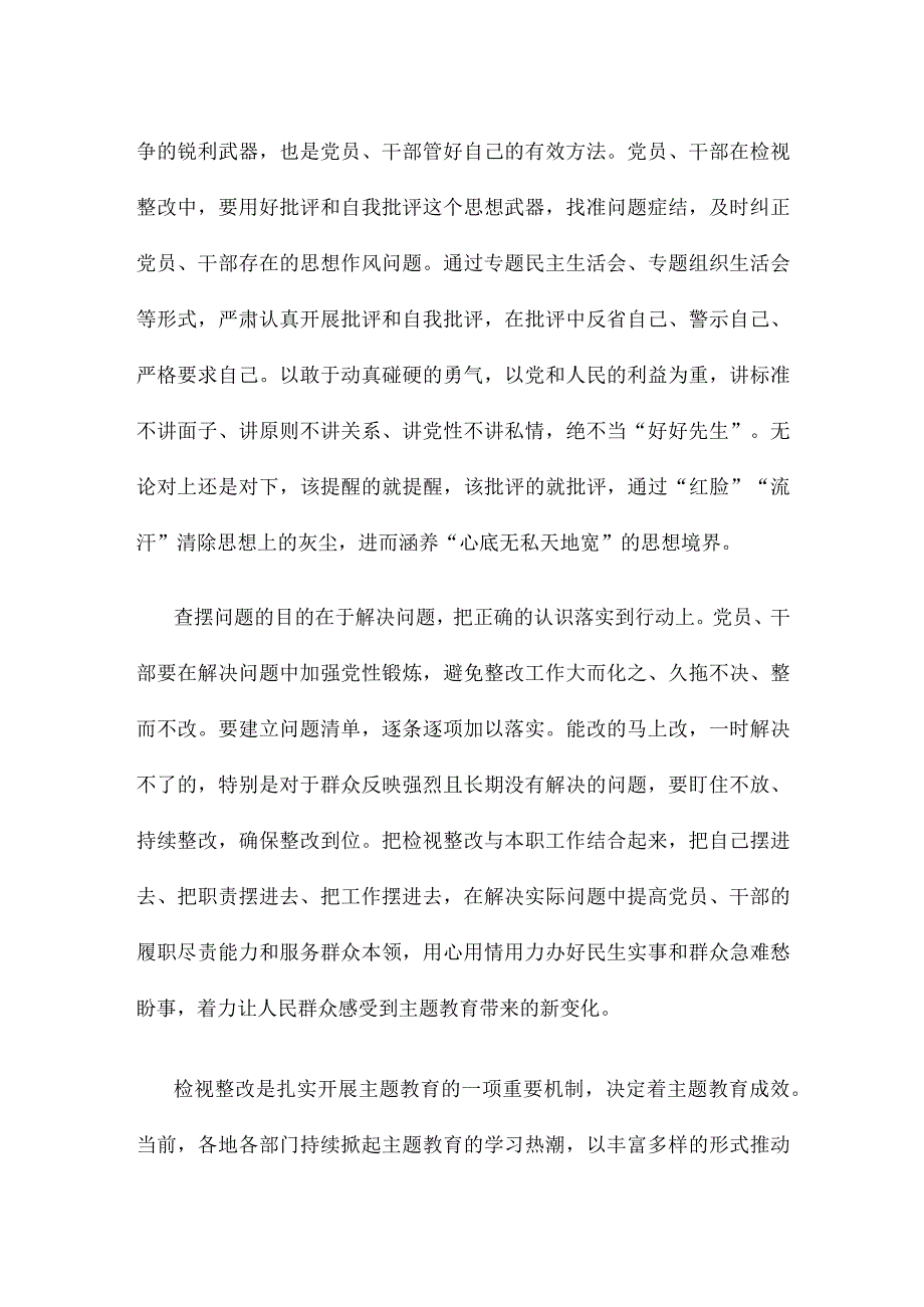 主题教育检视整改动员发言稿.docx_第2页