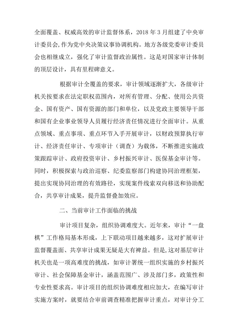 做好新时代审计工作的思考.docx_第2页