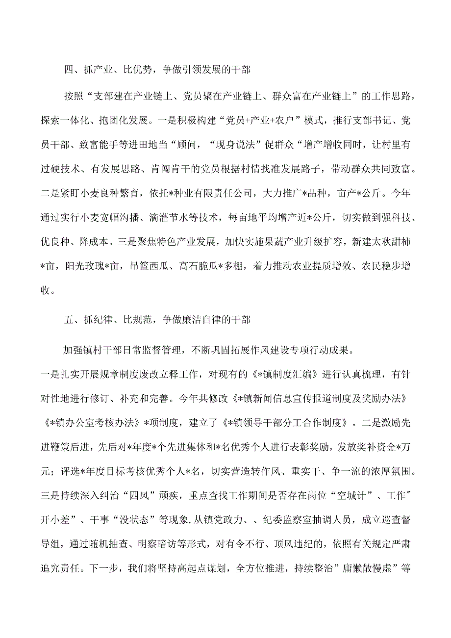 乡镇作风能力提升活动总结.docx_第3页