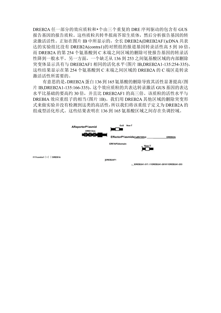 与干旱响应基因表达相关的拟南芥转录因子DREB2A功能分析.docx_第3页