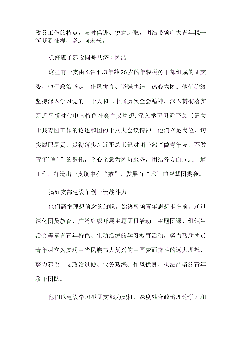 两红两优县税务局团支部先进事迹.docx_第2页