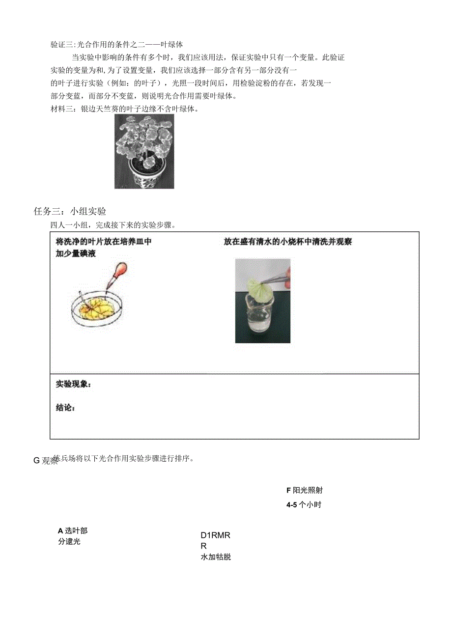 光合作用导学案公开课教案教学设计课件.docx_第2页