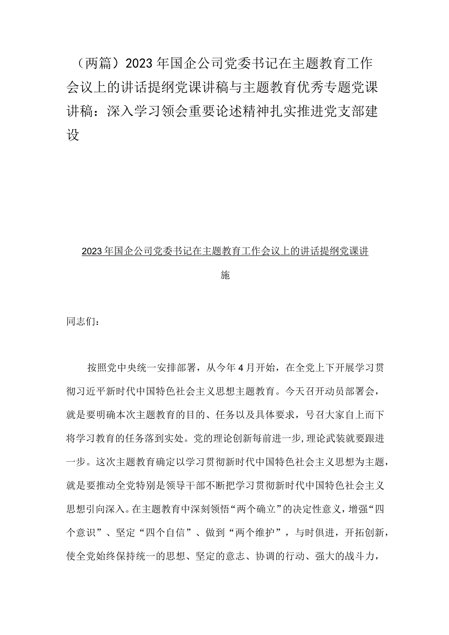 两篇2023年国企公司党委书记在主题教育工作会议上的讲话提纲党课讲稿与主题教育优秀专题党课讲稿：深入学习领会重要论述精神扎实推进党支部建设.docx_第1页