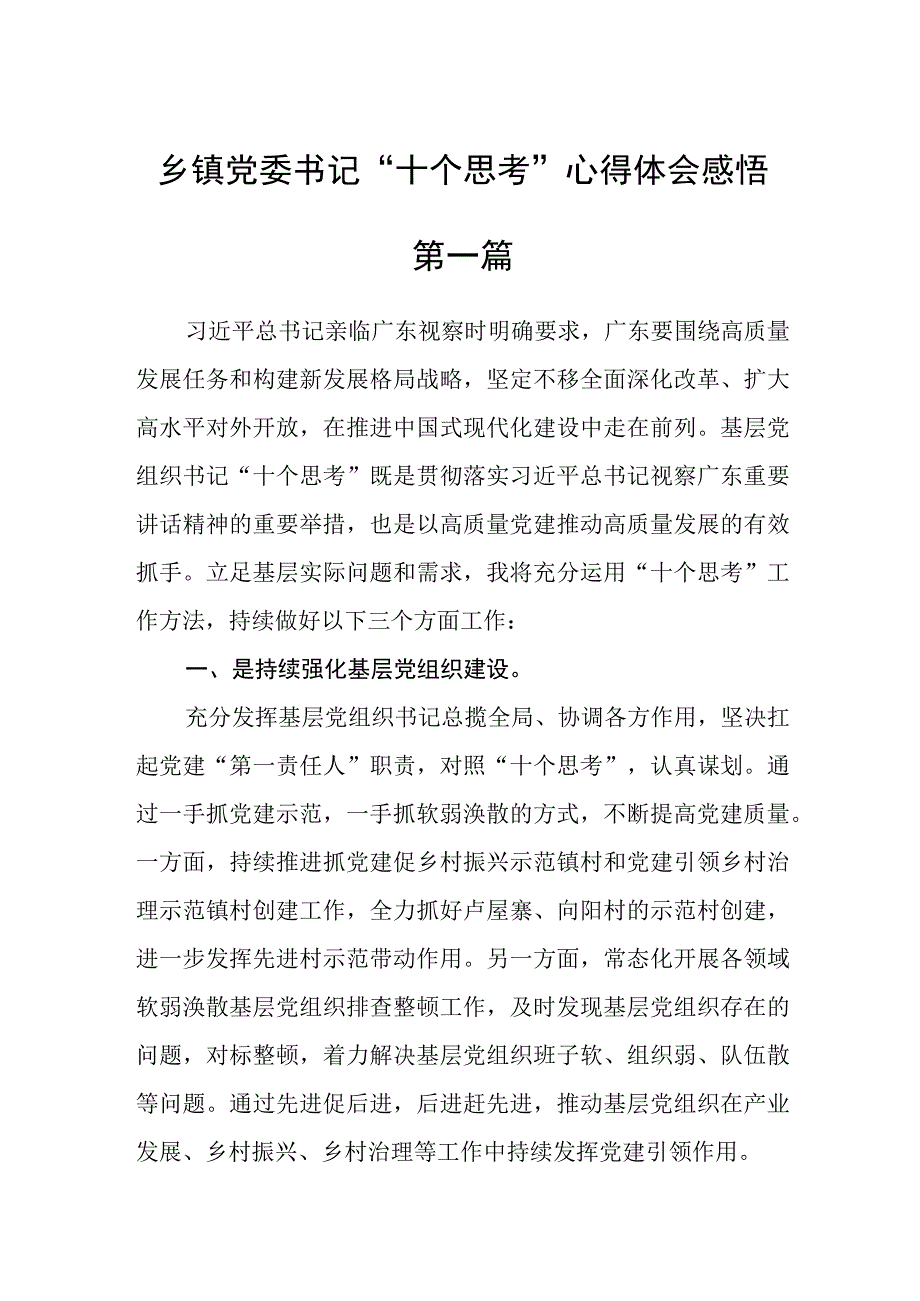 乡镇党委书记十个思考心得体会感悟四篇.docx_第1页