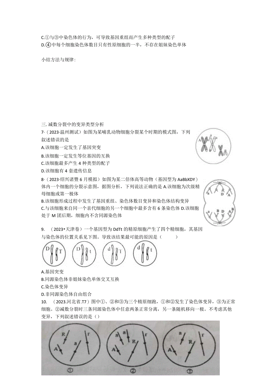 二轮减数分裂专题练公开课.docx_第3页