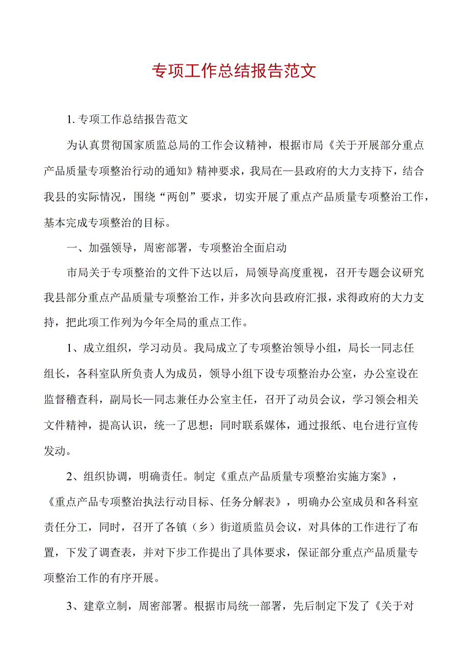 专项工作总结报告范文.docx_第1页