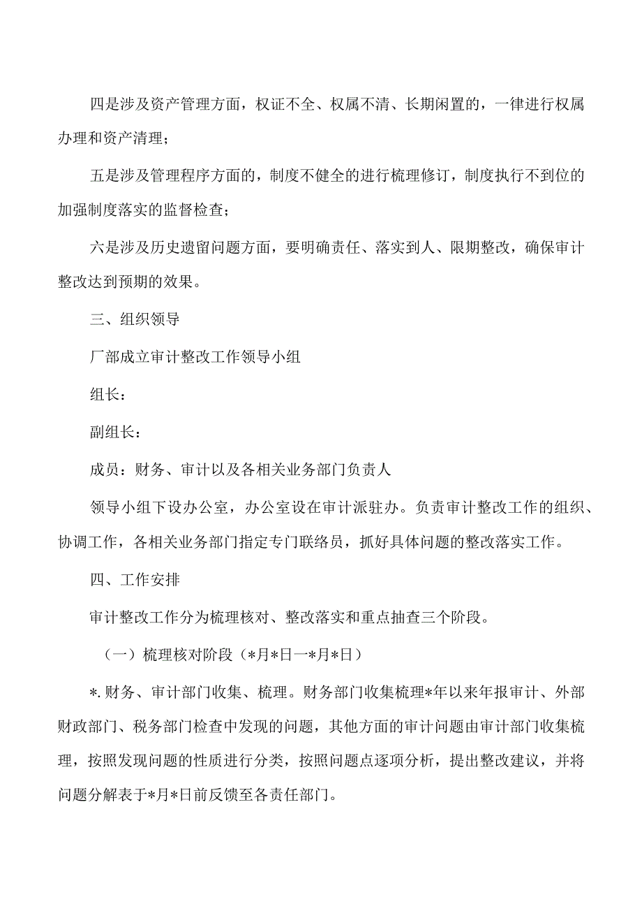 公司审计整改方案.docx_第2页